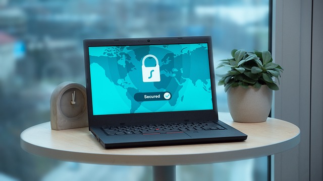 Online Privacy Security Guide 2024