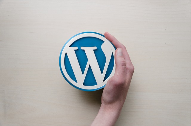Must-Have WordPress Plugins for New WordPress Websites Owners: Security & Fast your site